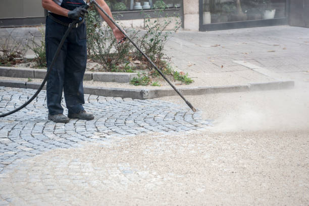  Albion, NY Pressure Washing Pros