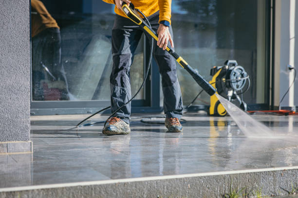 Best Gutter Cleaning  in Albion, NY