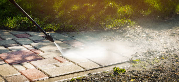 Best Factory Floor Cleaning  in Albion, NY