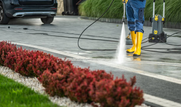 Best Paint Preparation  in Albion, NY