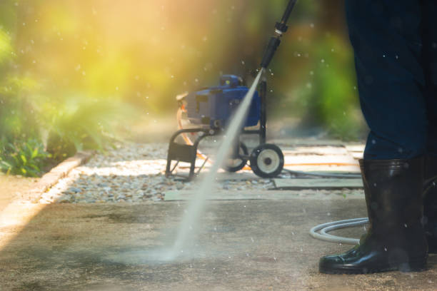 Best Solar Panel Cleaning  in Albion, NY